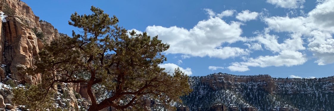 Noah Thomas™ banner