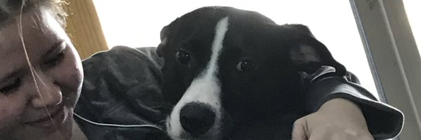 2shealucky2 Profile Banner