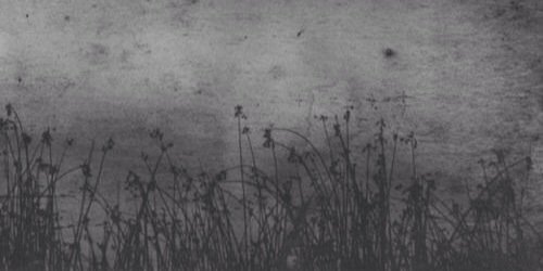hongbinace's profile banner image