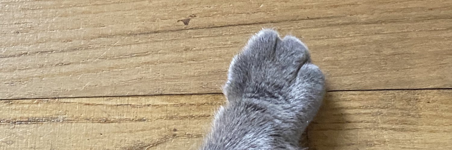 claraamd's profile banner image