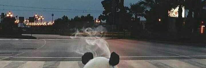 Buhdabear's profile banner image