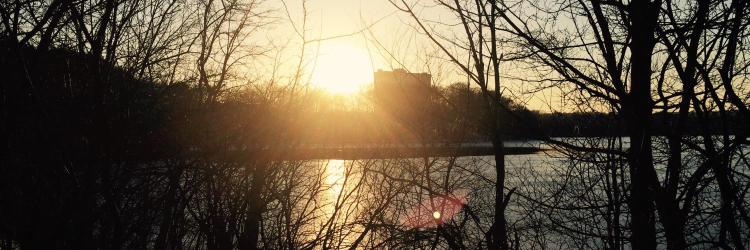crucaro's profile banner image