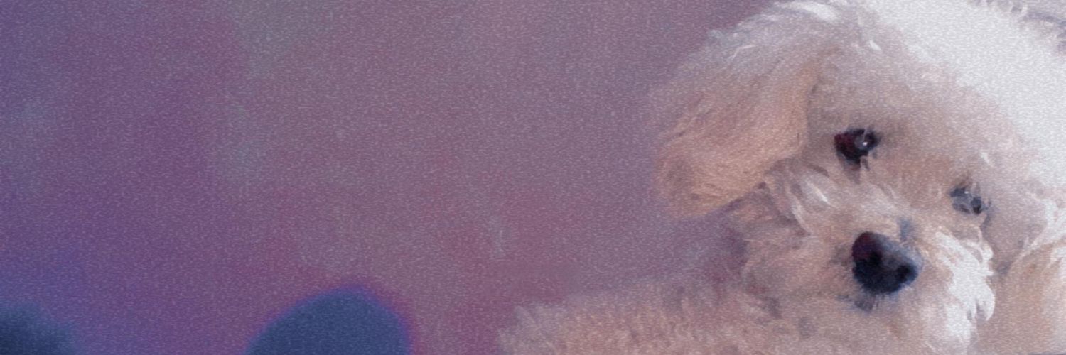 valepereyram's profile banner image