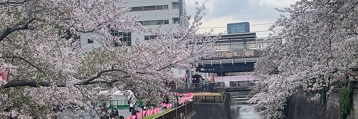 y_tsuba's profile banner image