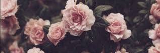 sarai_daniel_'s profile banner image