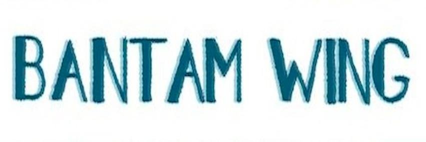 bantamwingmusic's profile banner image