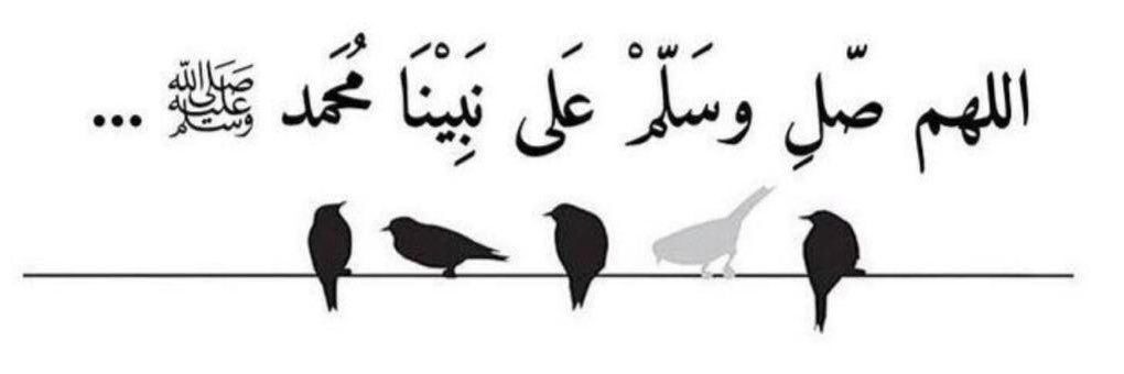 B7b8b7b8's profile banner image