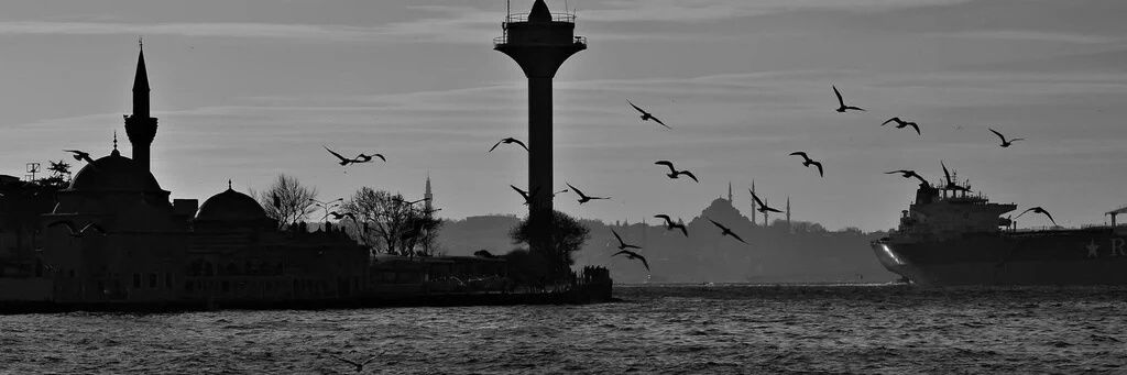 SnglDogan's profile banner image