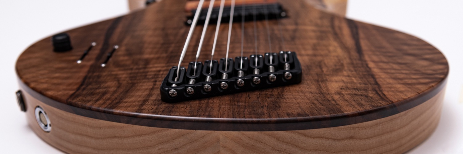 Touch Guitars® banner