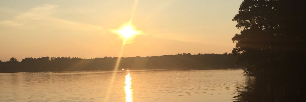 kimwheaton03's profile banner image