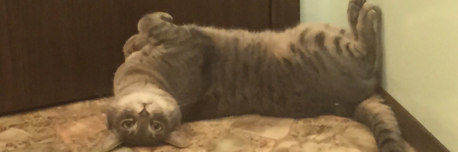 Rob 'Mangtime' Mang banner