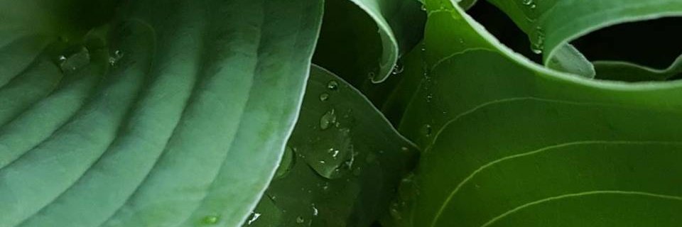 jillkocher's profile banner image