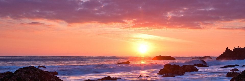 ᴍʏ ᴛᴛᴀɴɢᴋᴡᴀ banner