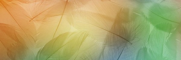 omzhe90 Profile Banner