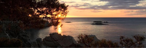 QuimSalvi Profile Banner