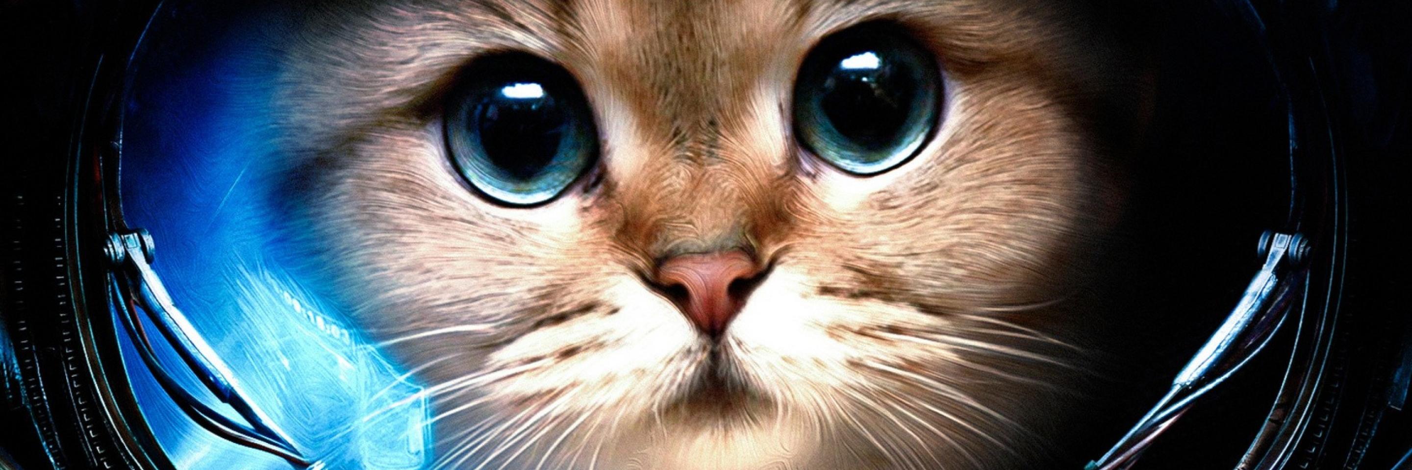 KBoots19's profile banner image