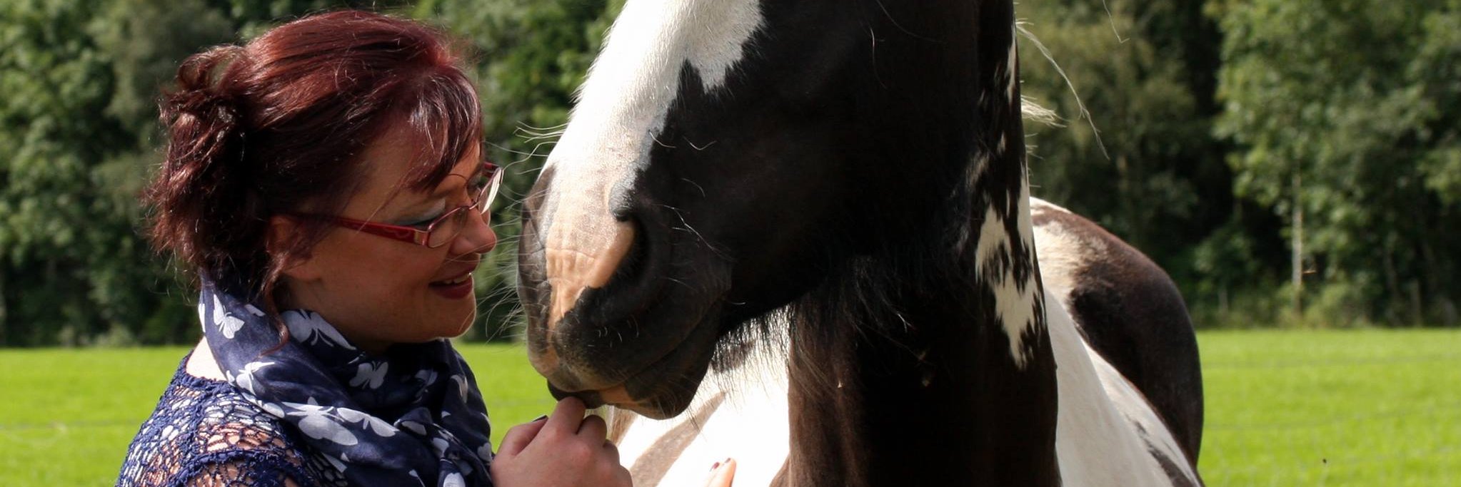 Animal_Comms's profile banner image