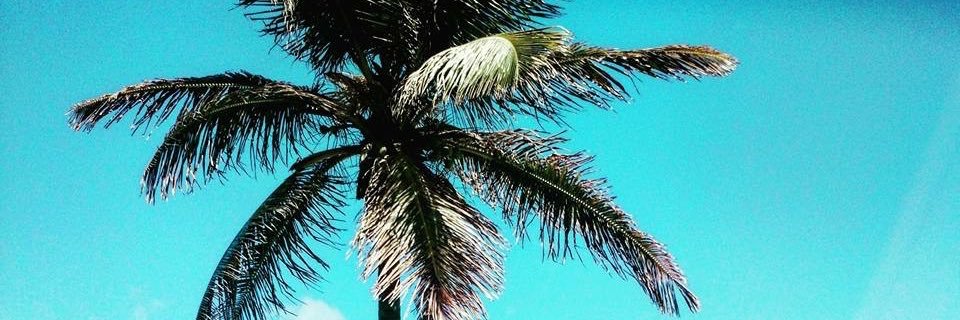theuss2_'s profile banner image