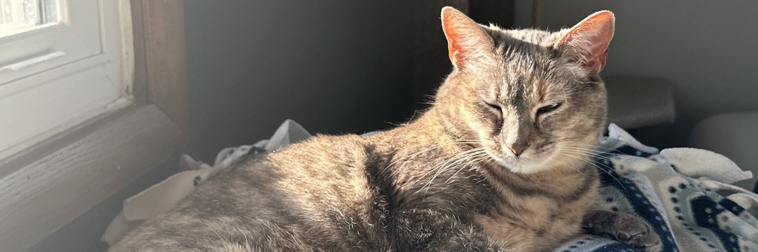 grettaisnotcool's profile banner image