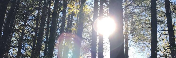 kota_sick's profile banner image