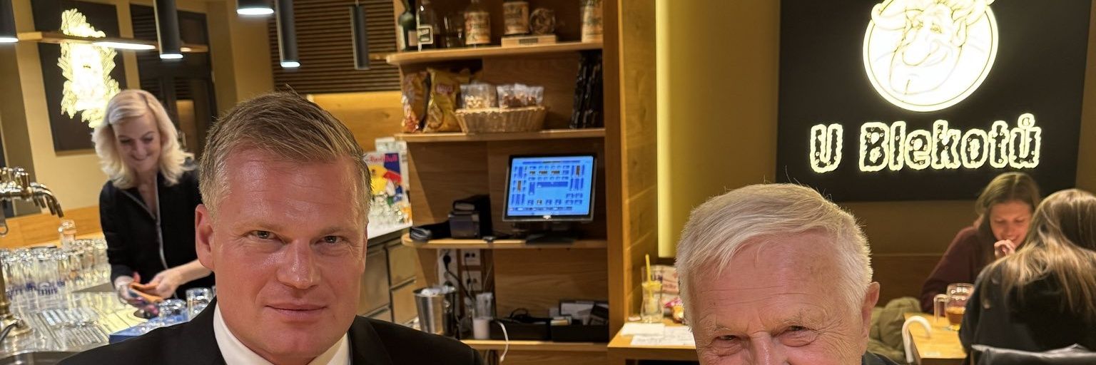 Politický bizár banner