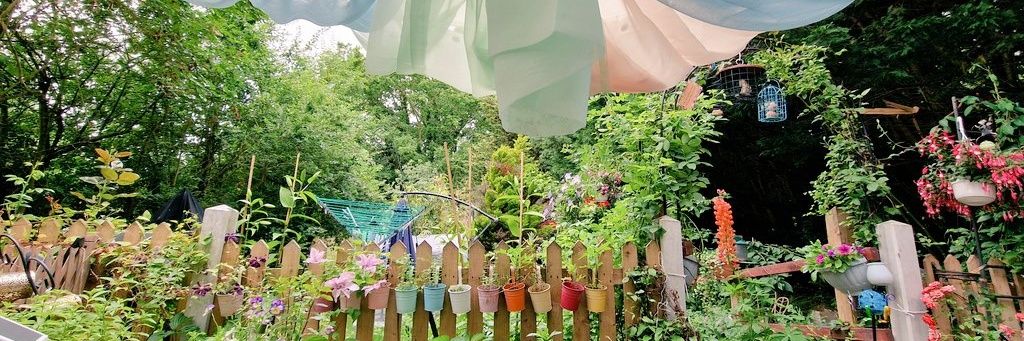 🌸 🙀 Teresa Cooper banner