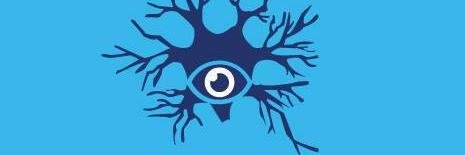 NeuromarkVisual's profile banner image