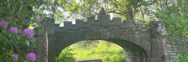 AynCateSullivan Profile Banner