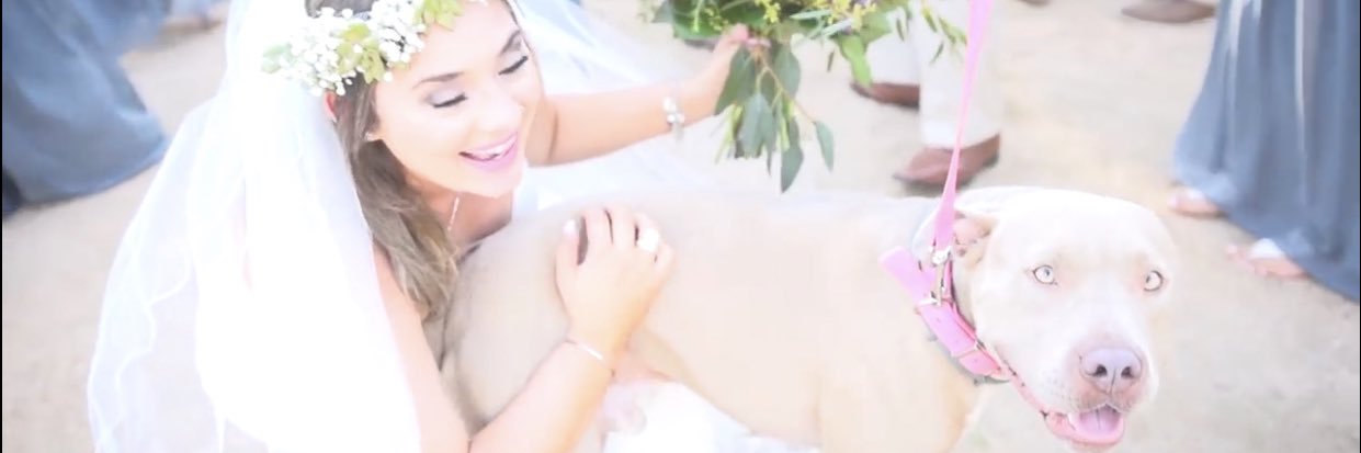 Bre_happy1's profile banner image