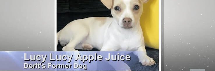 realcvntwitch's profile banner image
