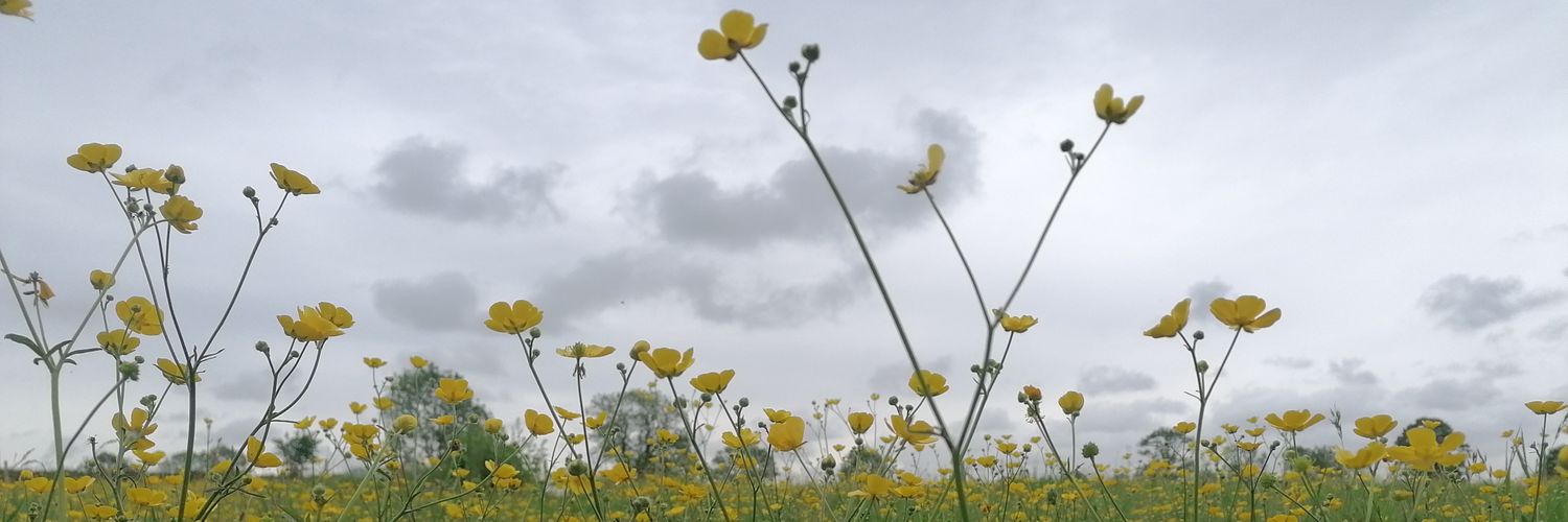 beccawain's profile banner image