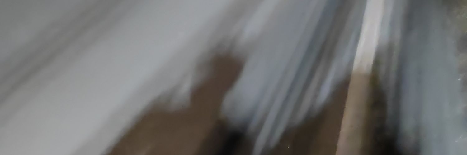 AnneCatudss's profile banner image