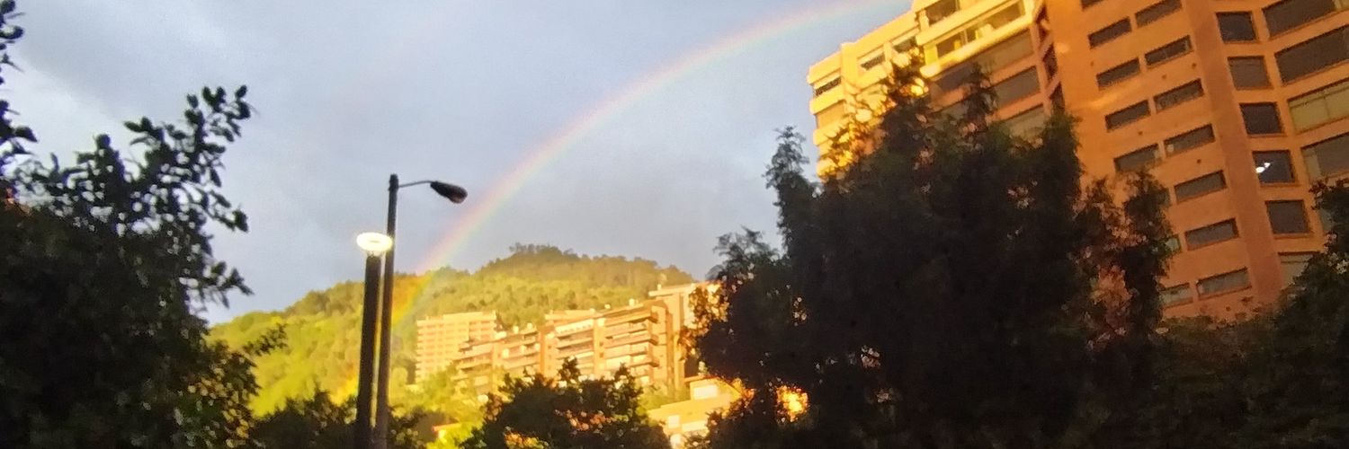 Zyrumi's profile banner image