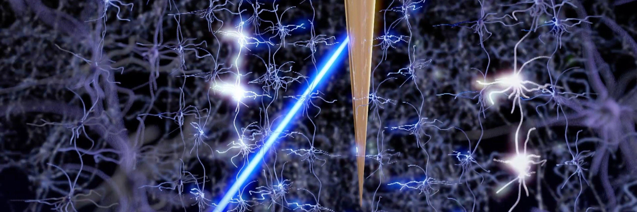 OptogeniX banner