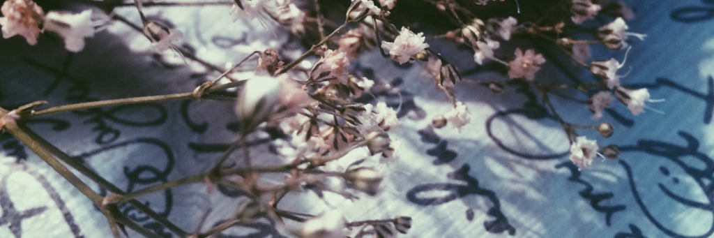 meem_a26's profile banner image