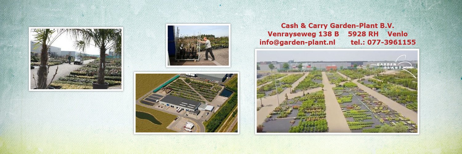 GARDENPLANTbv's profile banner image