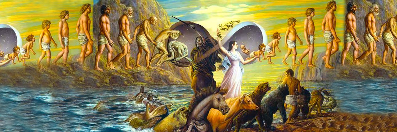 Assinoe's profile banner image