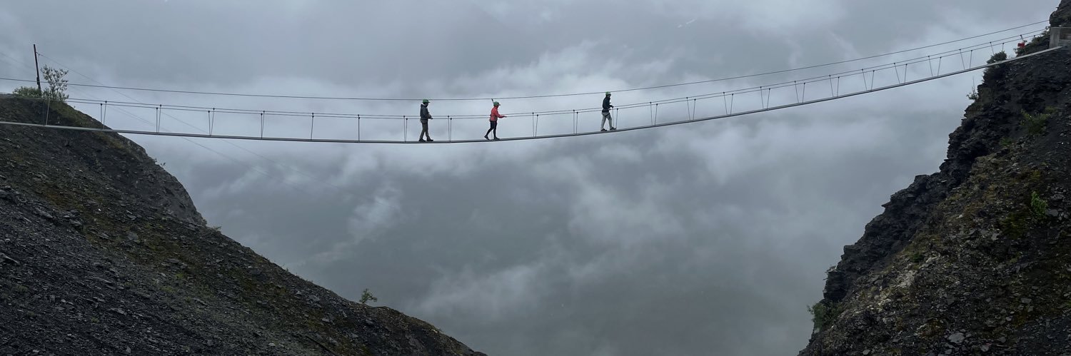 Erin Ealey King banner