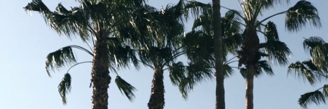 tayrantino's profile banner image