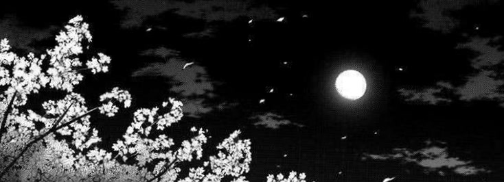 branchluna42's profile banner image