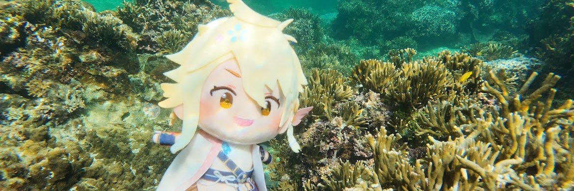 静電気蓬空@初回お取引リトリン必読 banner