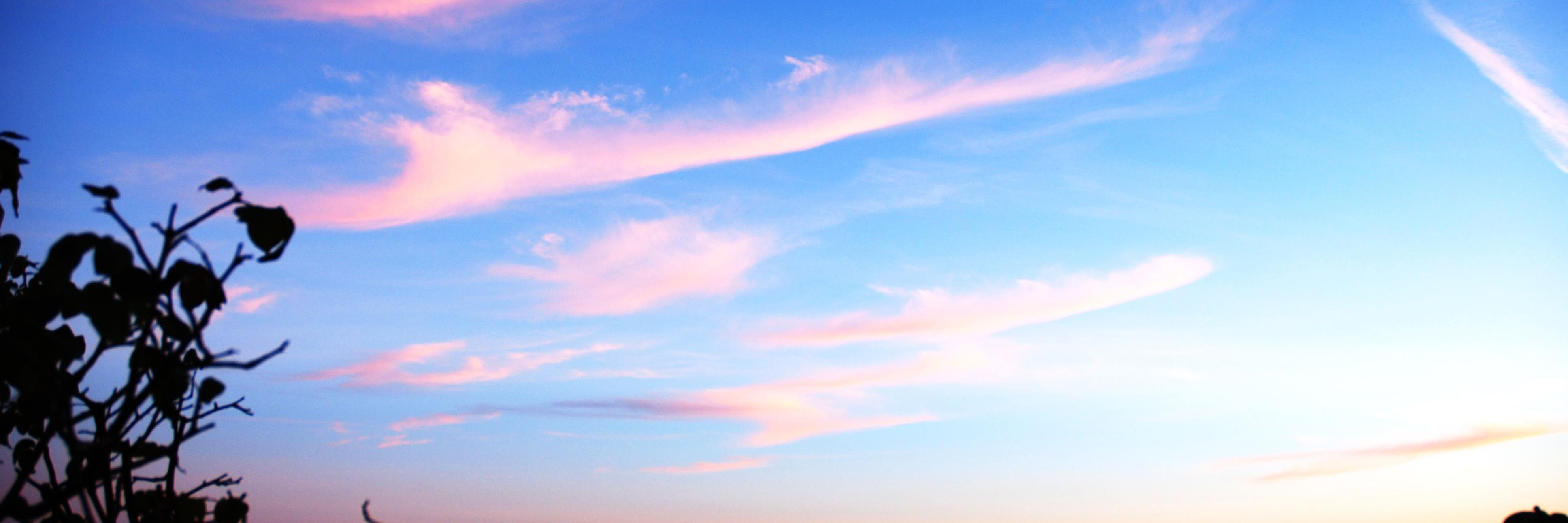 ri_saaaaa's profile banner image