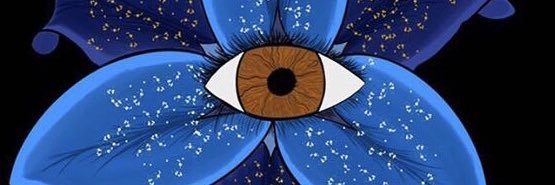 nicho_now's profile banner image