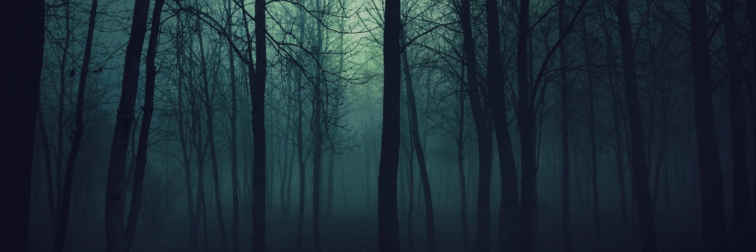 AndersonElli0t's profile banner image