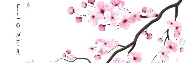 mmonsesl's profile banner image