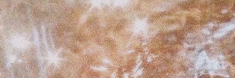 Carley Couzens banner