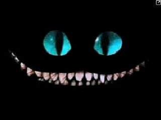 geooWR's profile banner image