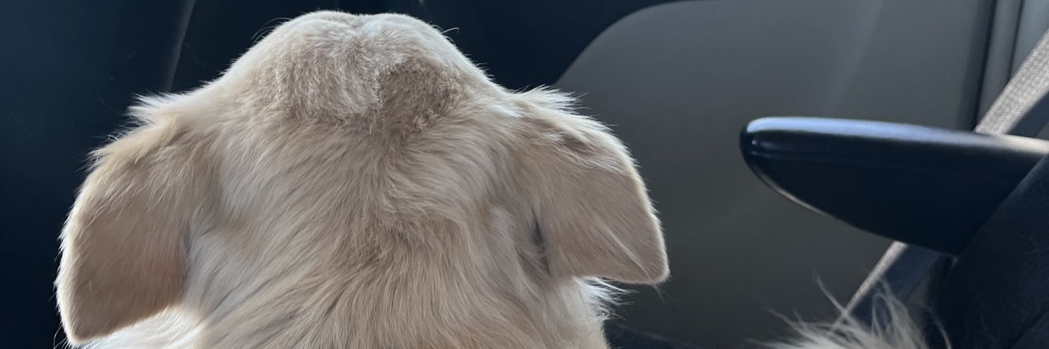valerialuma's profile banner image
