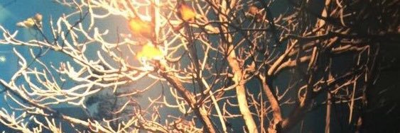 _re_00's profile banner image