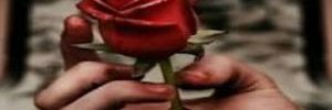 sweet_memory banner